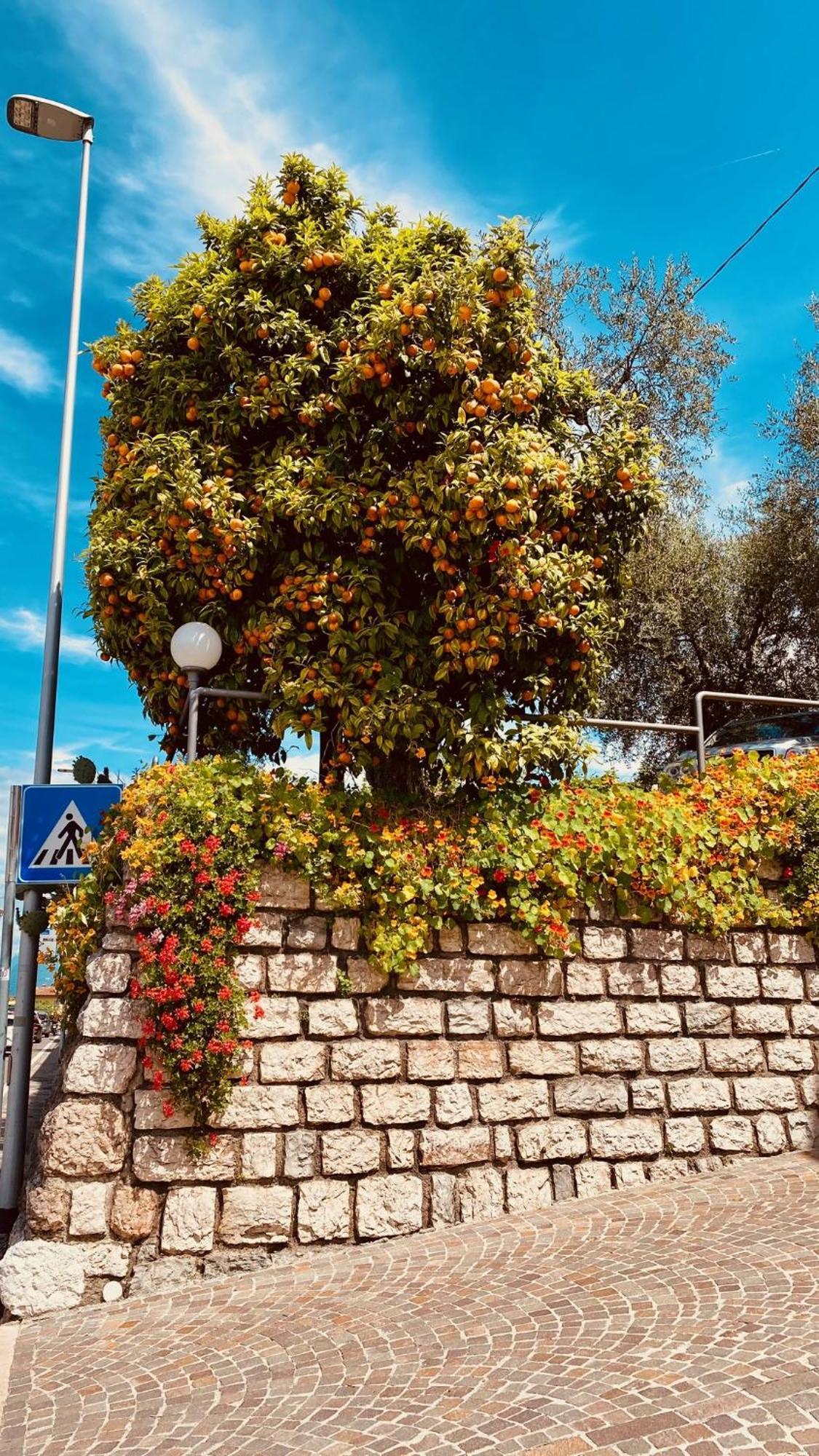 Hotel Ideal Malcesine Dış mekan fotoğraf